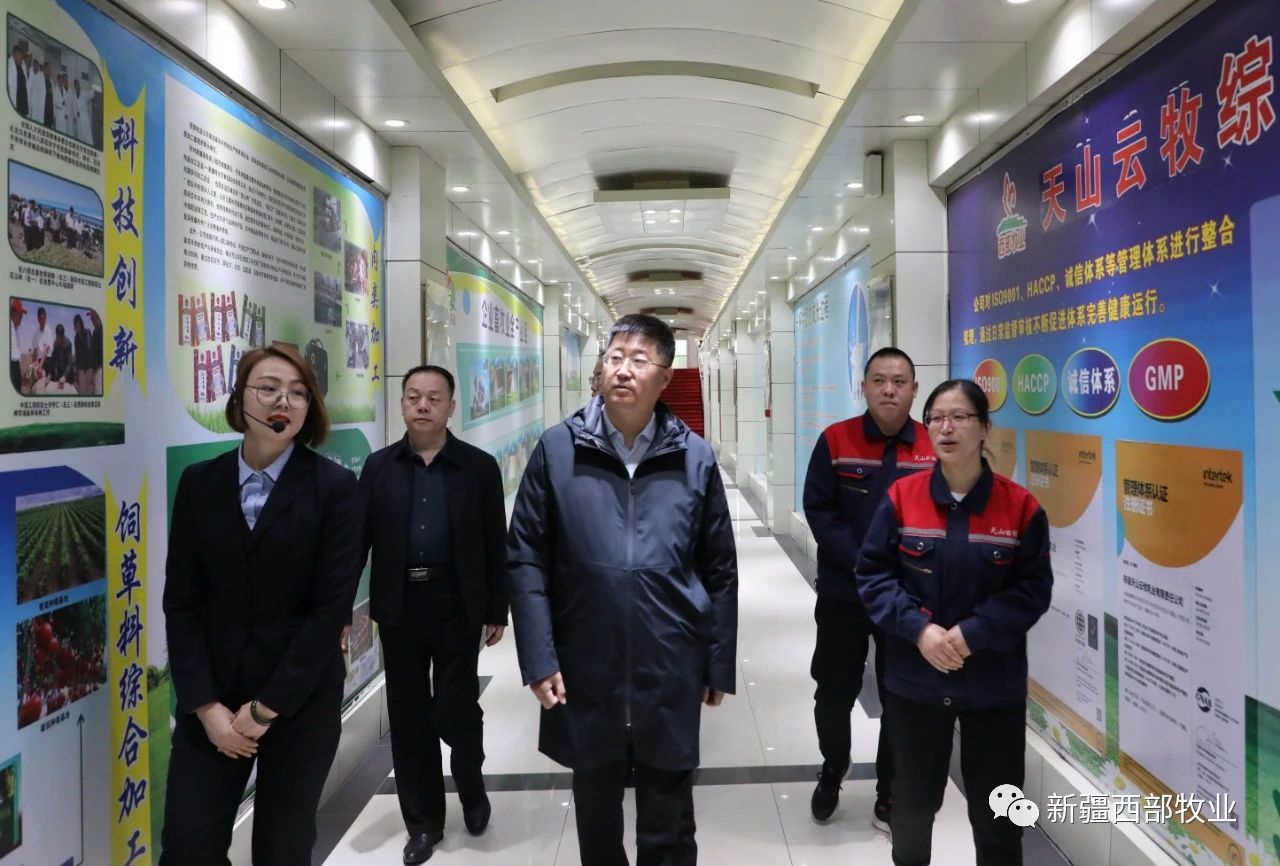 八師石河子市黨委常委、八師副師長趙日強到天山云牧公司調研